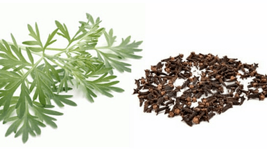 Carnations and wormwood for eliminating parasites from the body